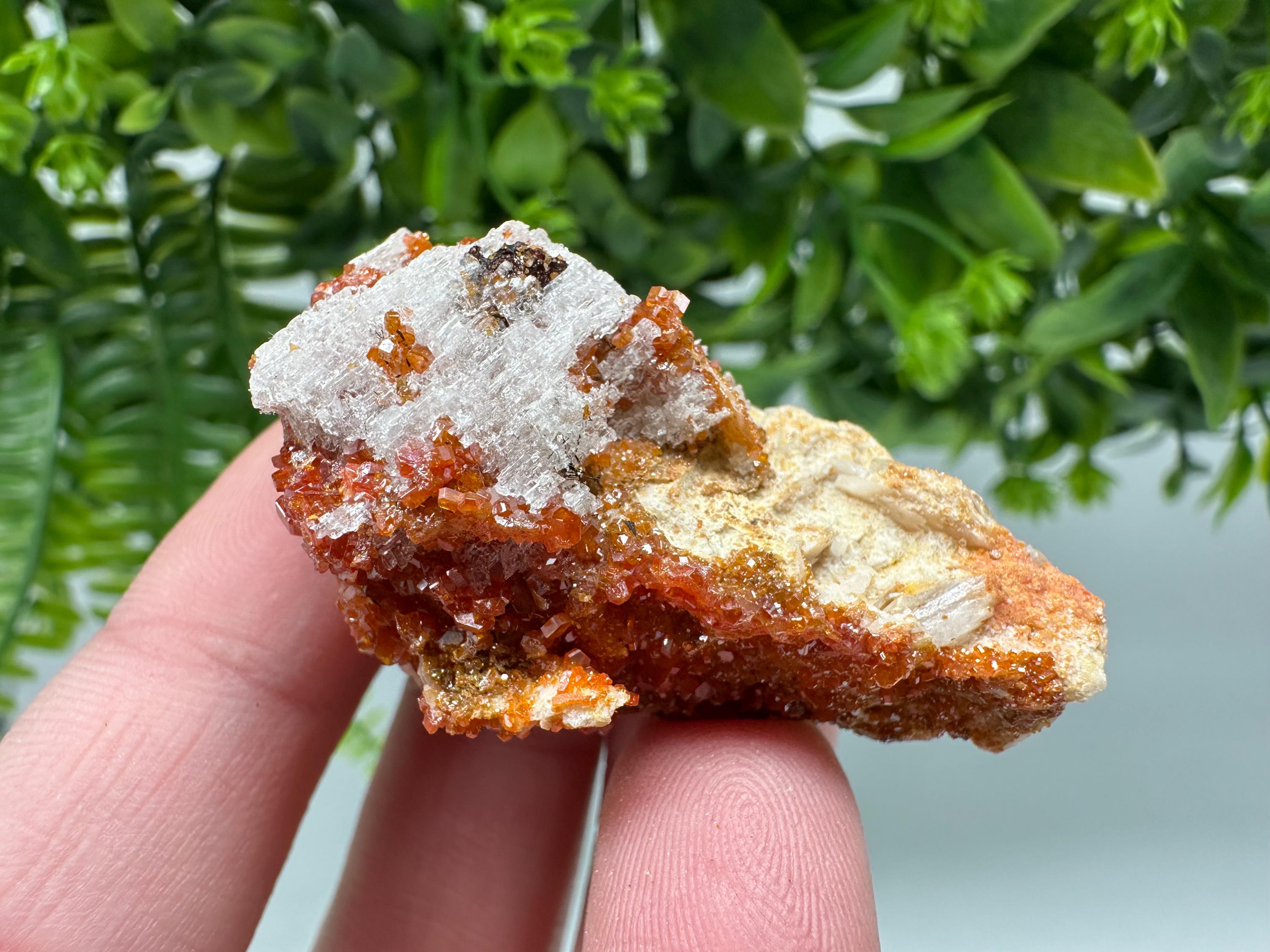 Red Vanadinite on Barite from Marocco,crystal minerals Speciment cluster Vanadinite crystal Vanadinite Geology Vanadinite cluster minerals