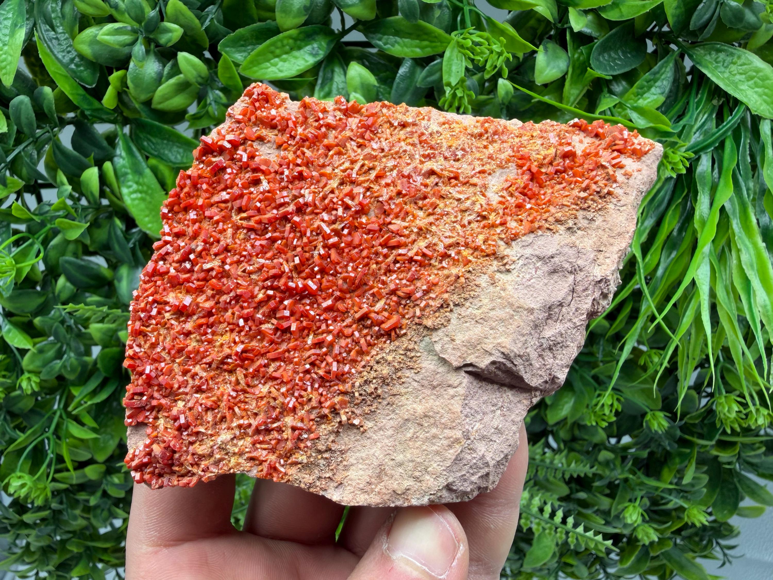 Red Vanadinite on Matrix from Marocco,crystal minerals Speciment cluster Vanadinite crystal Vanadinite Geology Vanadinite cluster minerals