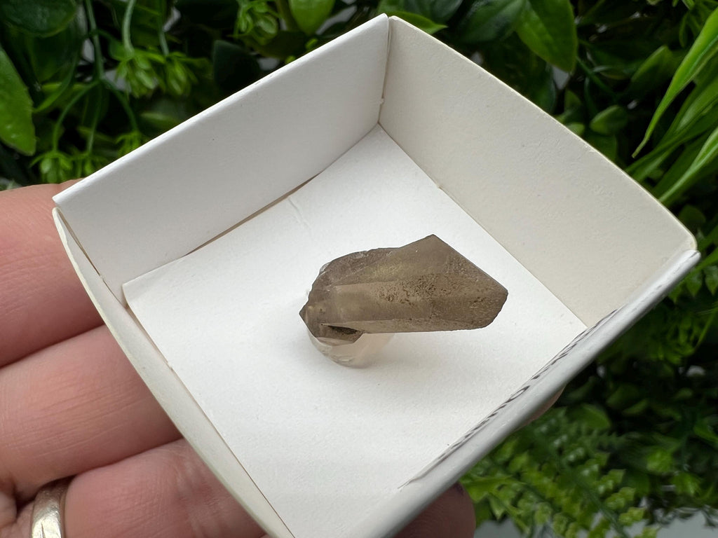 Rare Smoky Quartz Point, Fedenstock Switzerland Mineral Specimen (30MM)
