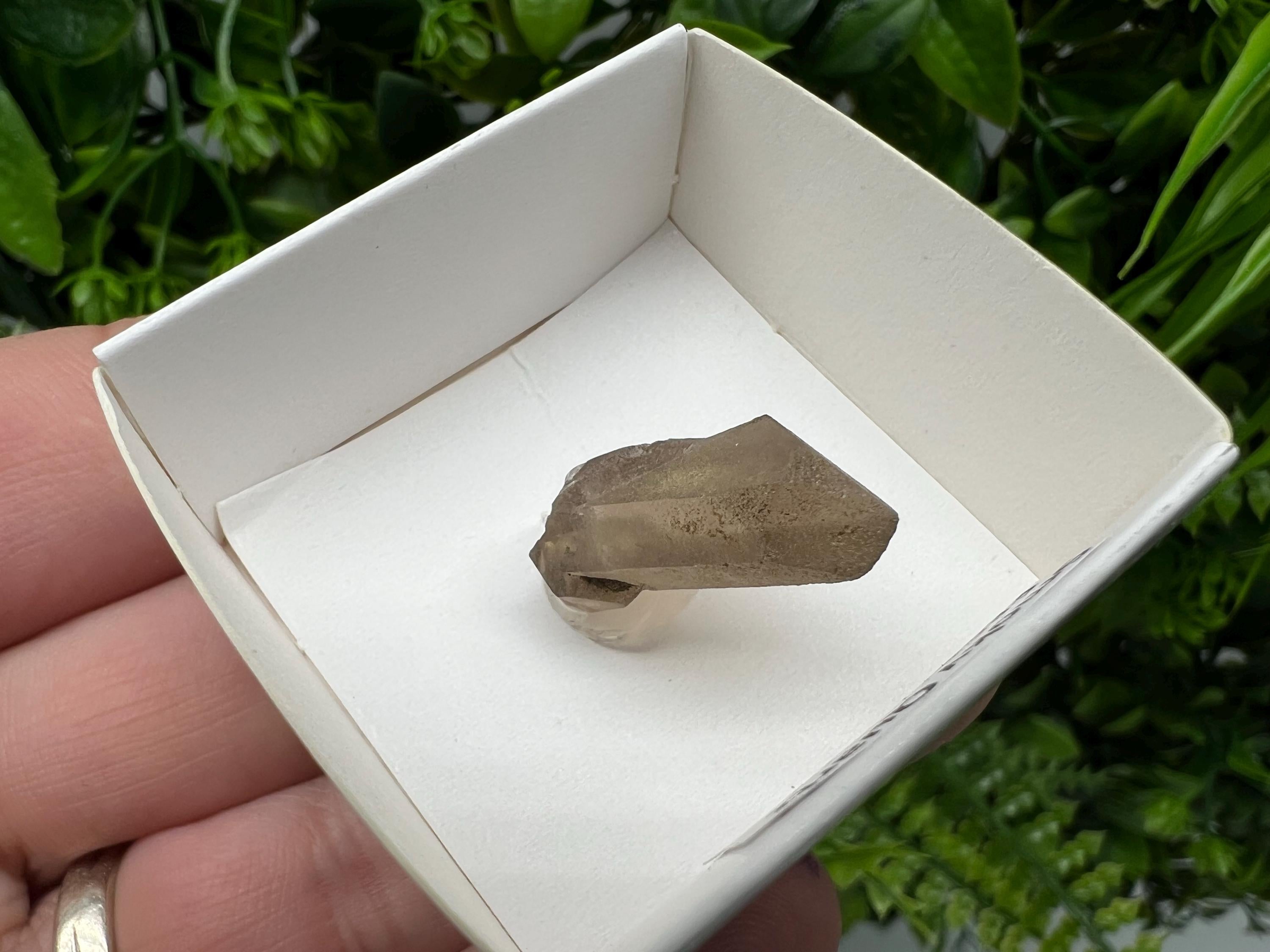 Rare Smoky Quartz Point, Fedenstock Switzerland Mineral Specimen (30MM)