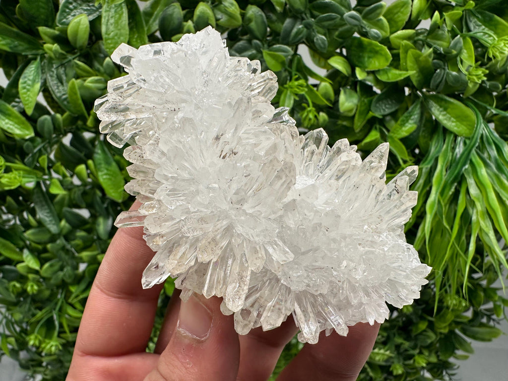 Wonderful Transparent Quartz on Chlorite Matrix,From Borieva mine,Madan,Bulgaria,Quartz,Quartz crystal,mineral specimen,collection quartz