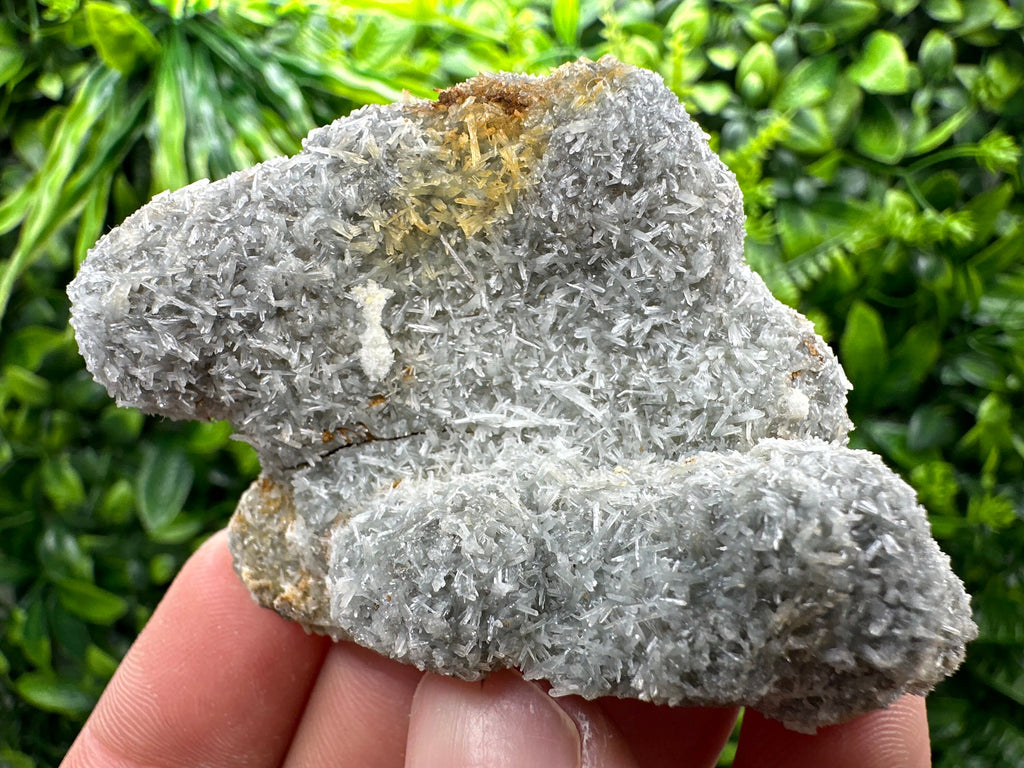 Chlorite Quartz Crystal with Iron Oxide Inclusion