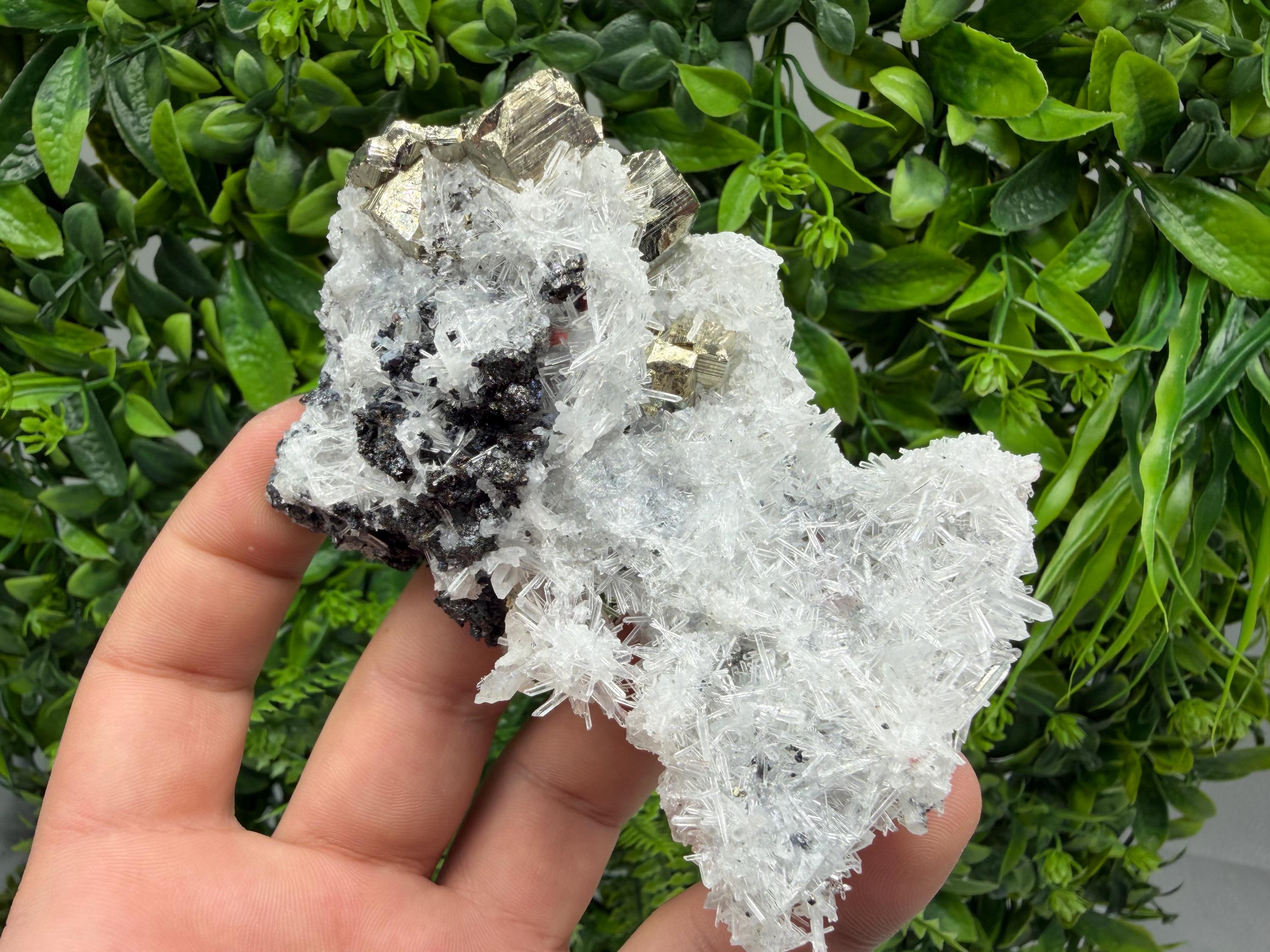 Pyrite Sphalerite Quartz  Mineral Specimen, Krushev dol Mine