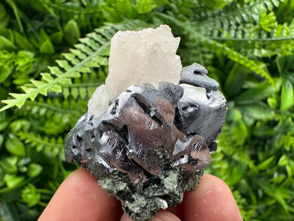 Shiny Galena with Calcite on Quartz, Chlorite Specimen