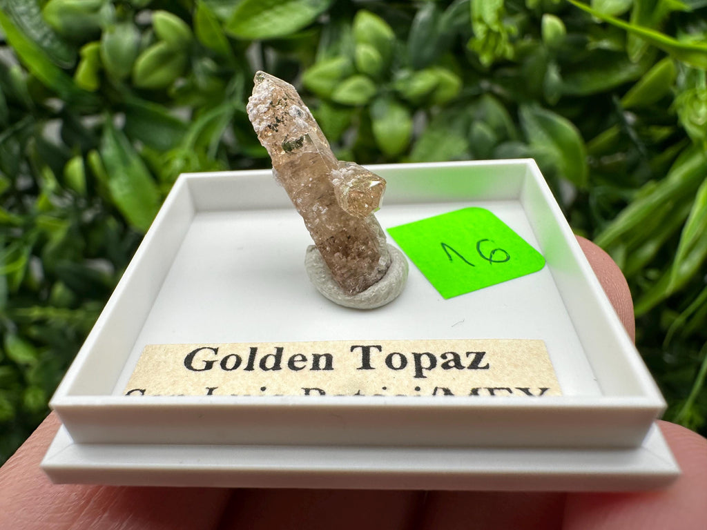 Golden Topaz Crystal, Mineral Specimen from Mexico