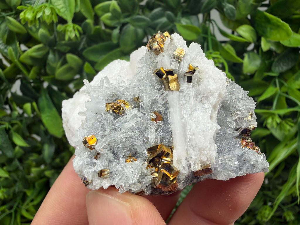 Mangano Calcite on Quartz with Pyrite, Madan Bulgaria Mineral Specimen