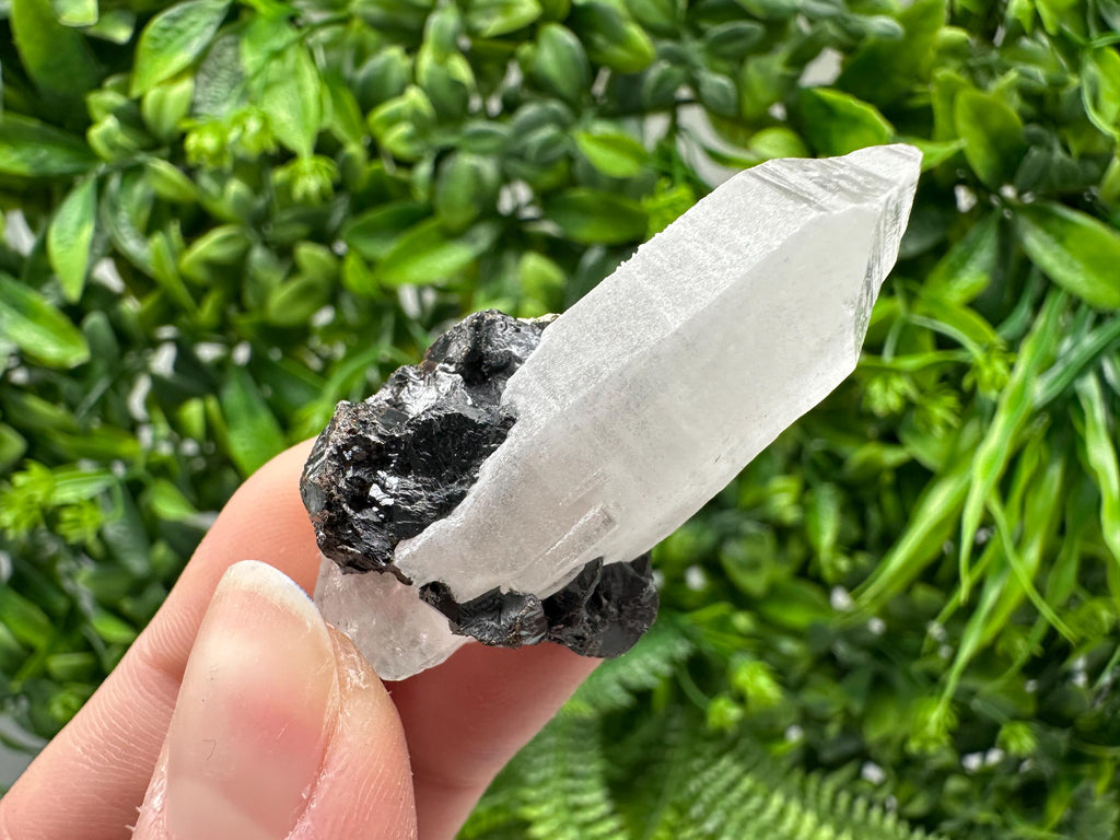 Wonderful Sphalerite Chalcopyrite on  Quartz whit Galena feom 9 th September mine,Bulgaria,natural,collection mineral specimen,gift