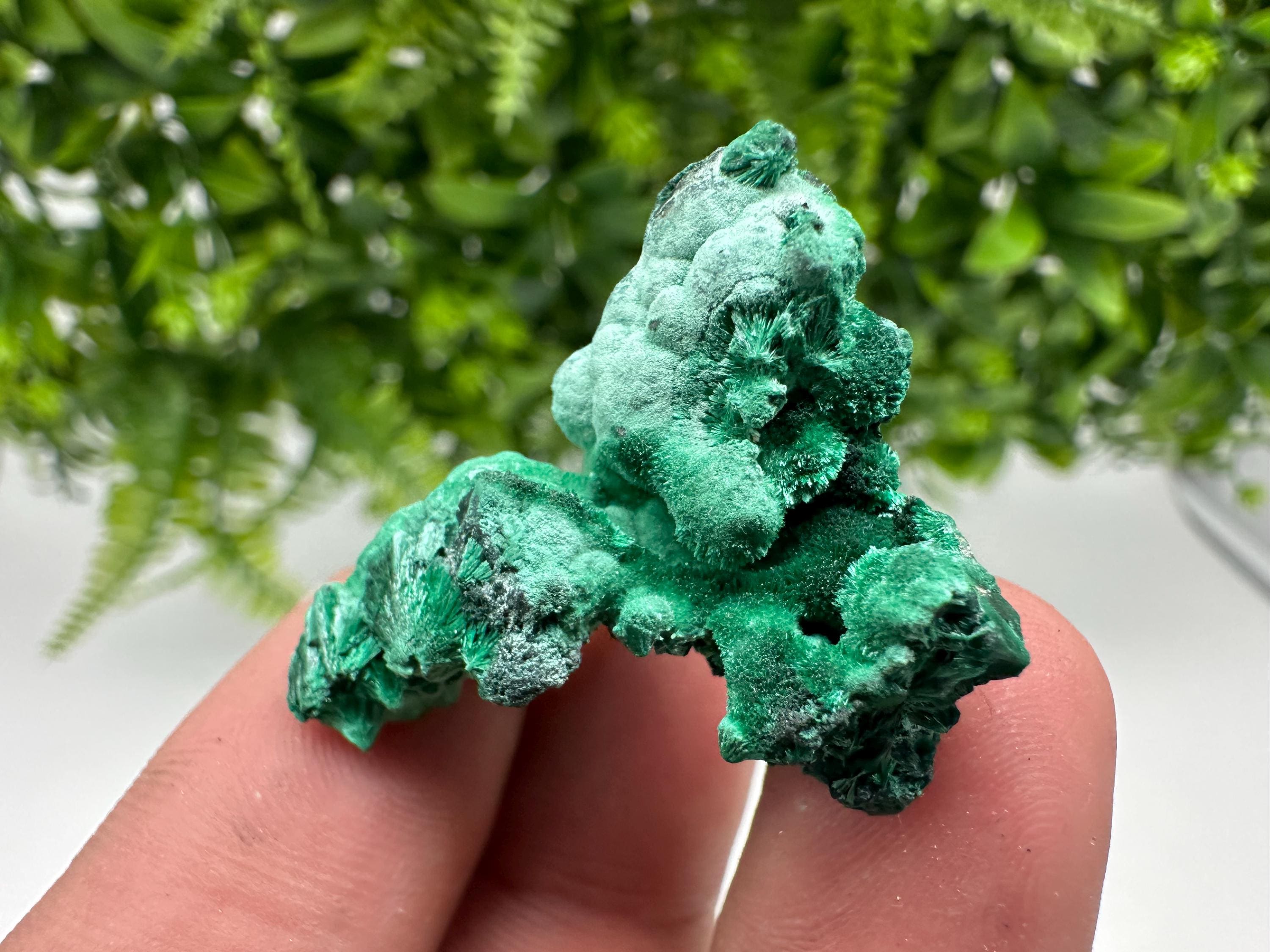 Malachite Crystal from Congo,Minerals,Crystals from Congo,Green Malachite, Malachite,Natural Malachite,Malachite Stone,Chakra, Specimens