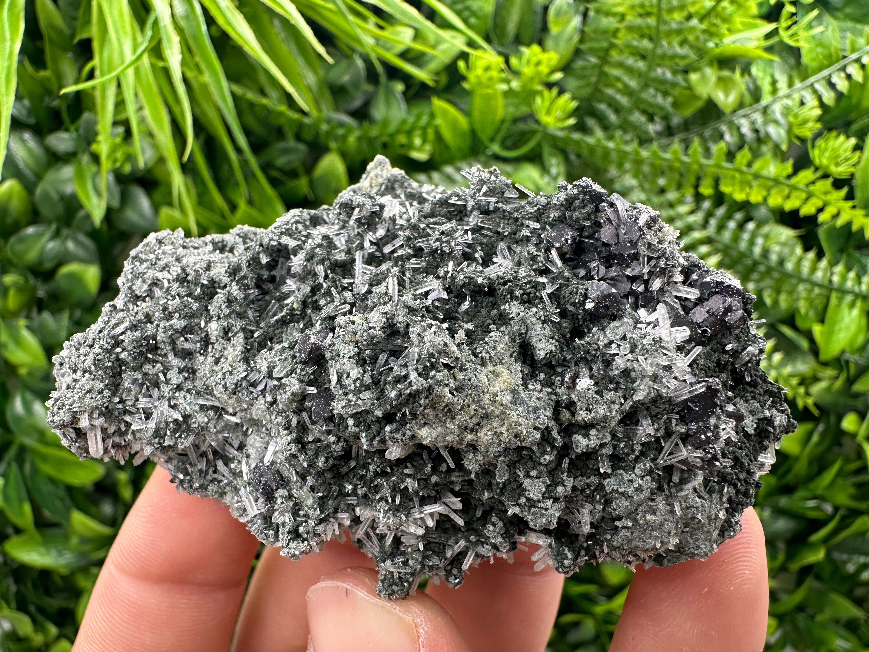 Sphalerite on Green Quartz with Chlorite Inclusion - Bulgaria Crystal Decor (8/6/4 cm)
