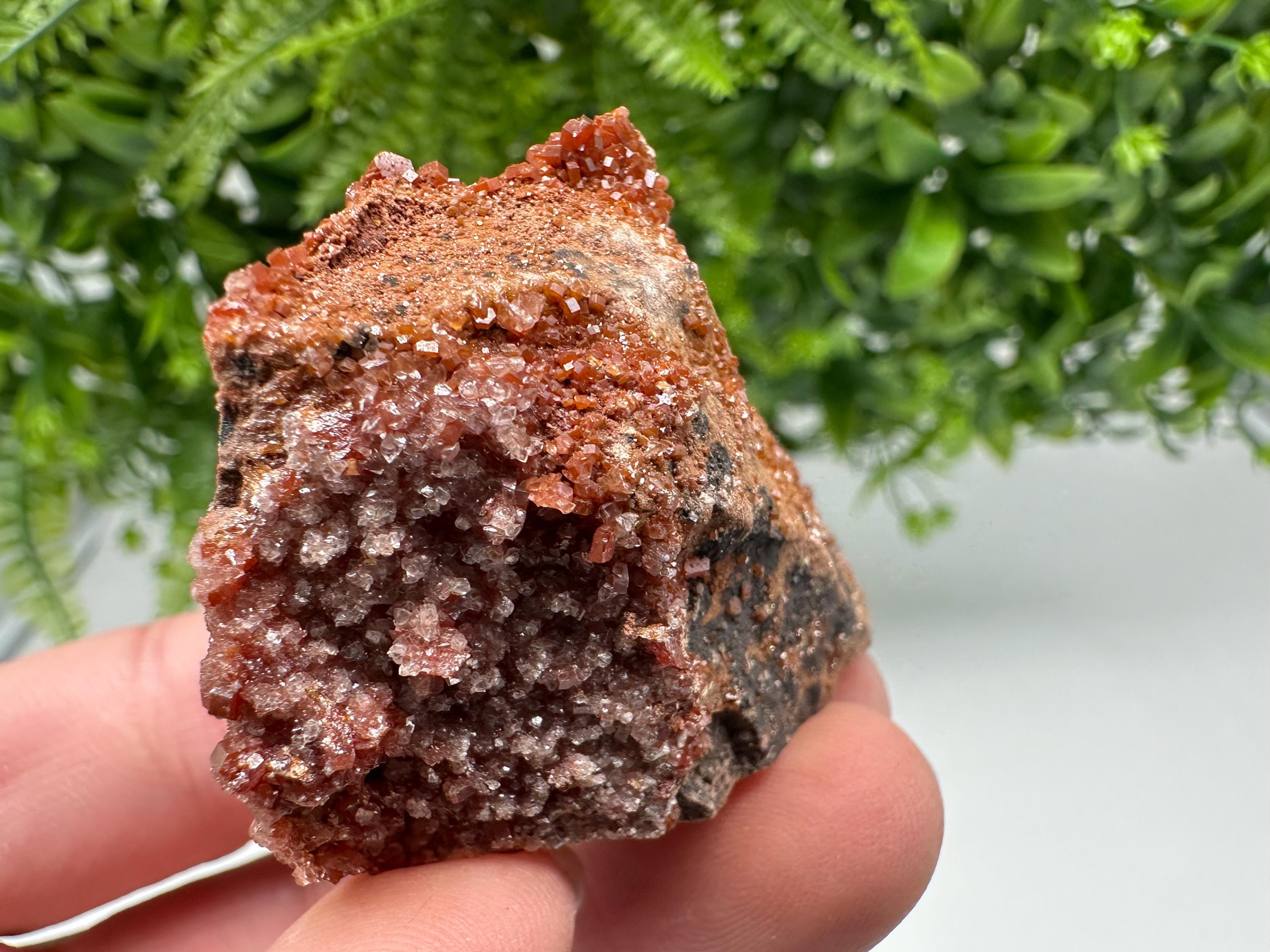 Red Vanadinite on Matrix from Marocco,crystal minerals Speciment cluster Vanadinite crystal Vanadinite Geology Vanadinite cluster minerals