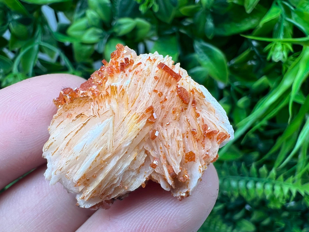 Red Vanadinite on Barite from Marocco,crystal minerals Speciment cluster Vanadinite crystal Vanadinite Geology Vanadinite cluster minerals