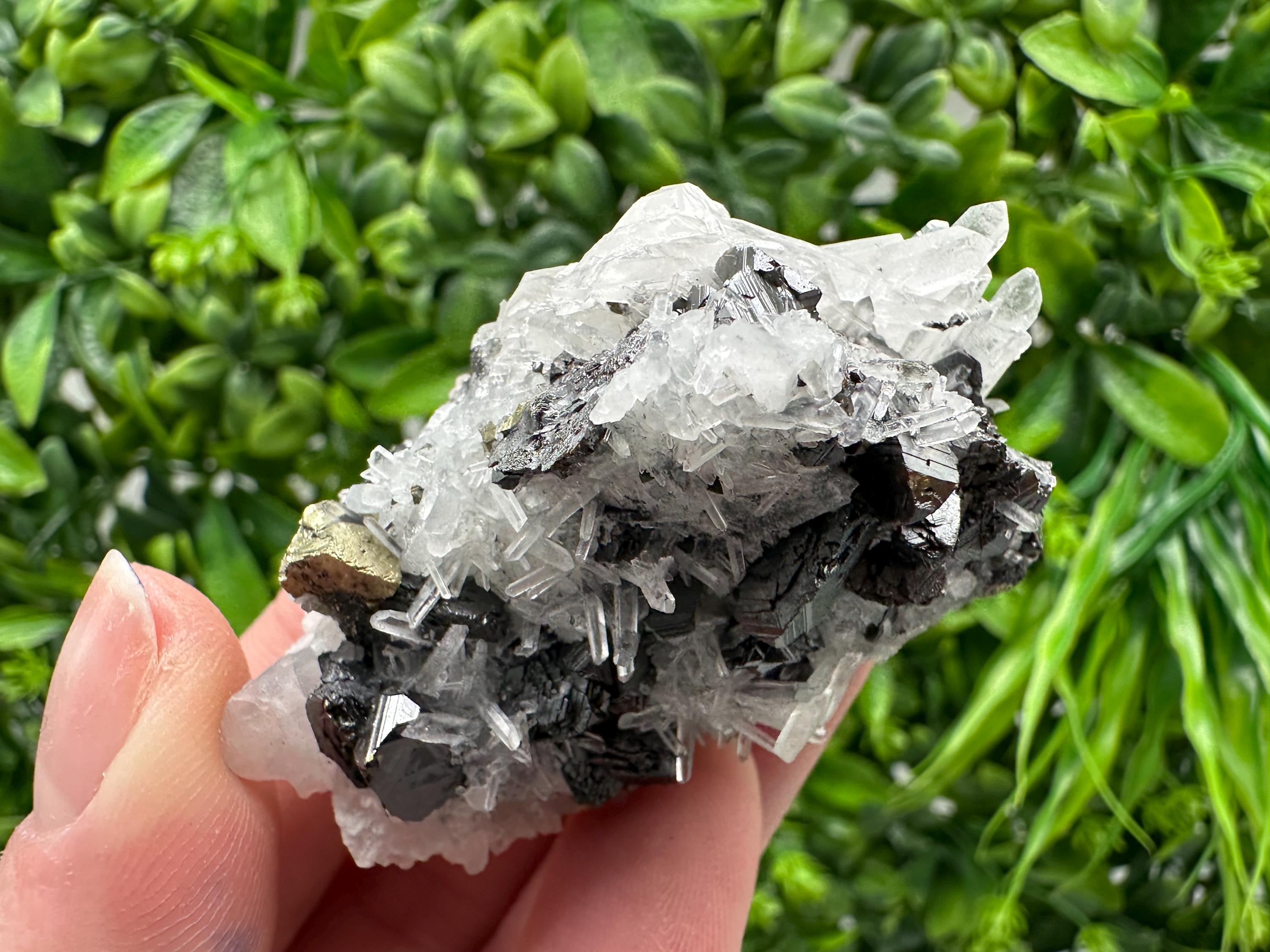 Wonderful Sphalerite Chalcopyrite on  Quartz whit Galena feom 9 th September mine,Bulgaria,natural,collection mineral specimen,gift