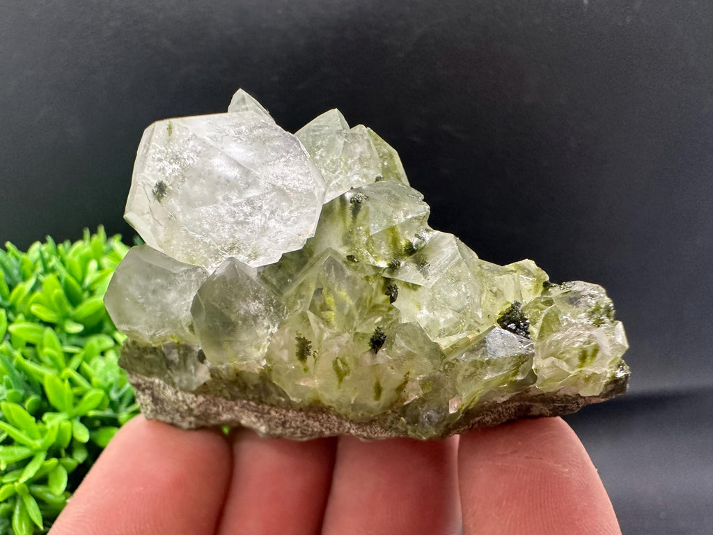 Rare Green Epidote with Quartz Crystals: Sparkly Rainbow Mineral Decor