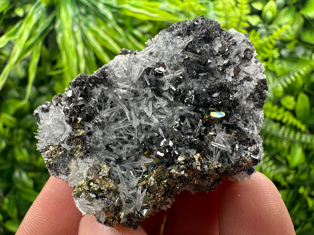 Rainbow Pyrite, Sphalerite on Quartz: Natural Crystal Souvenir