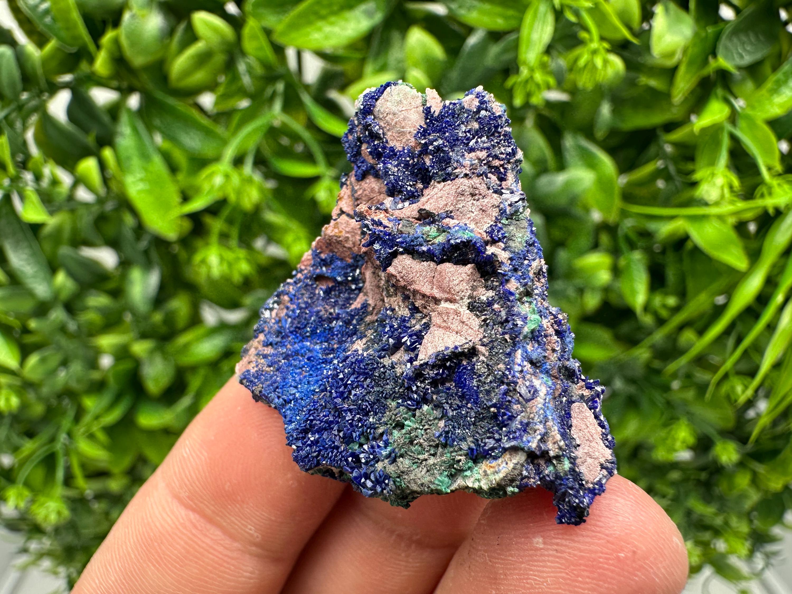 Crystallized Azurite-Kerrouchen,Morocco-Blue Azurite Specimen-High Quality Blue Azurite-Azurite Mineral Specimen, gemmy,lustrous of Azurite