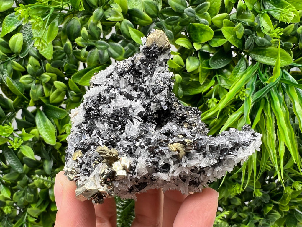 Chalcopyrite with Sphalerite on Quartz, Borieva Bulgaria