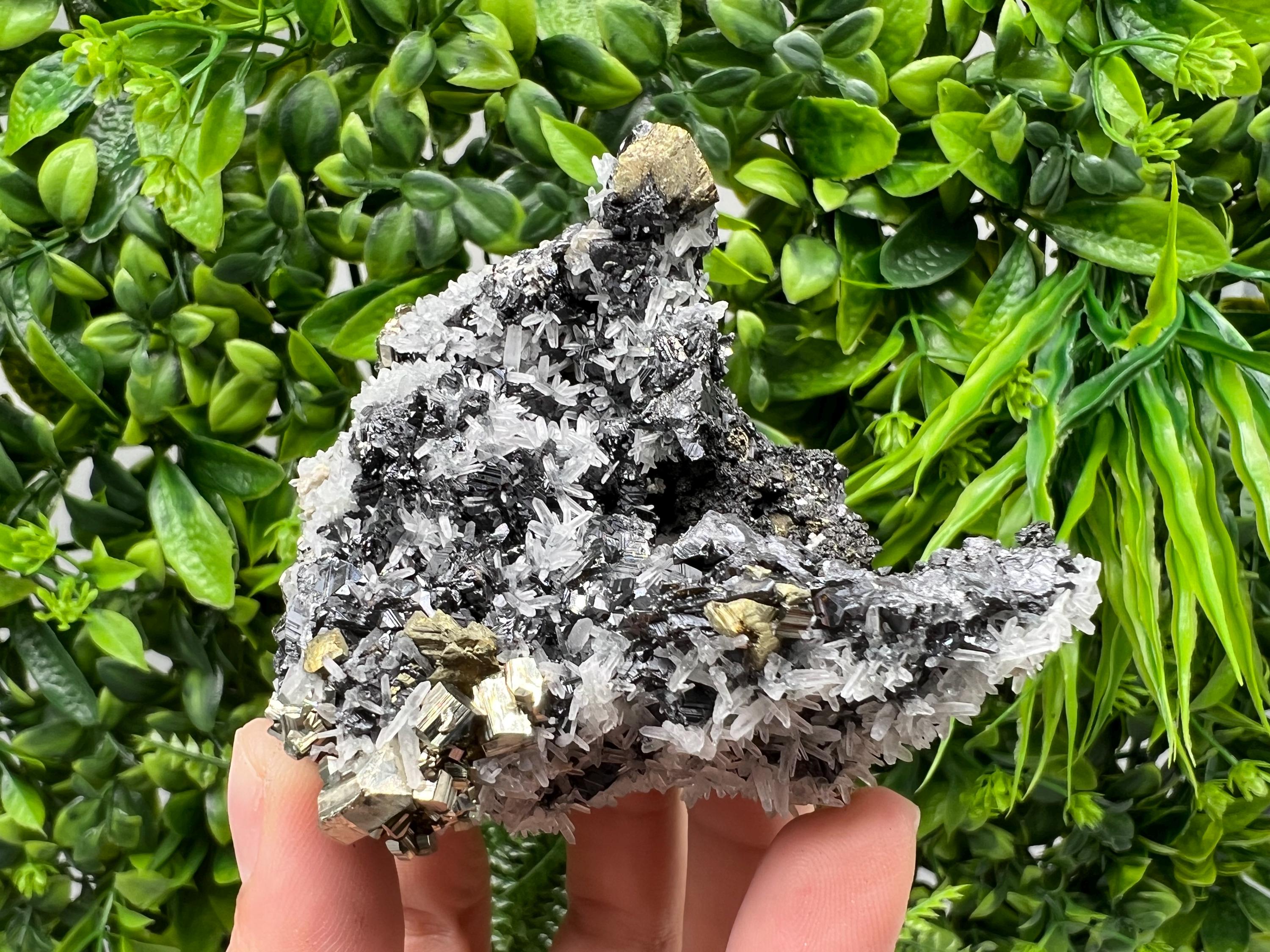 Chalcopyrite with Sphalerite on Quartz, Borieva Bulgaria