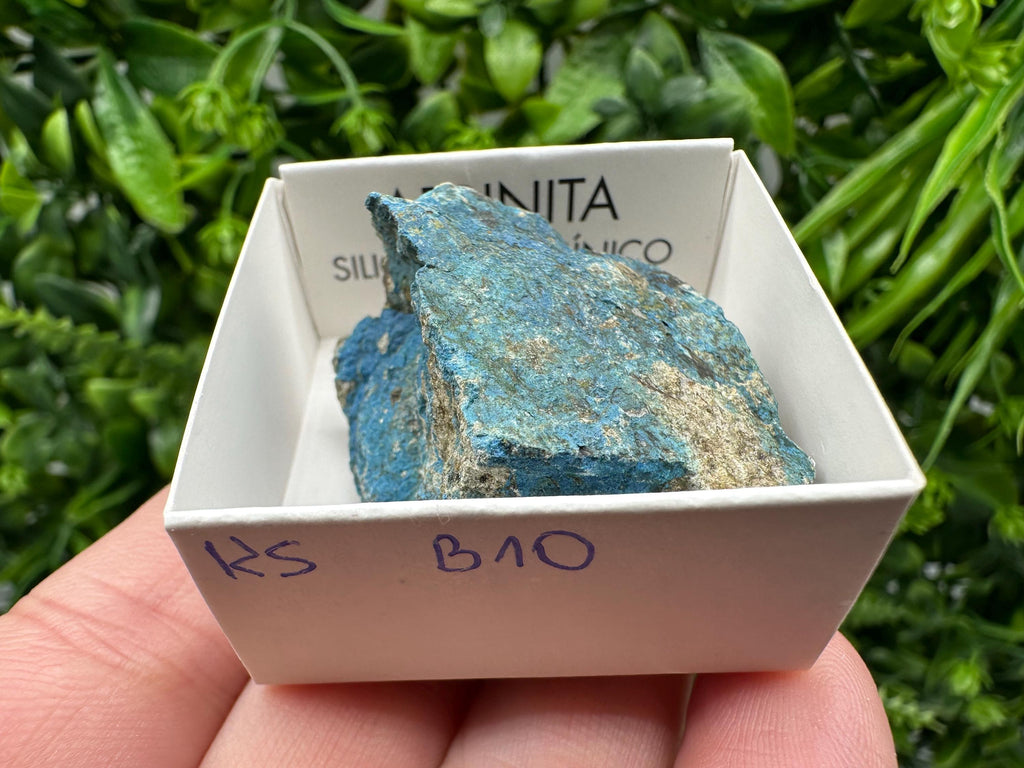 Rare Raw Aerinite Mineral Specimen: Lleida, Spain Crystal