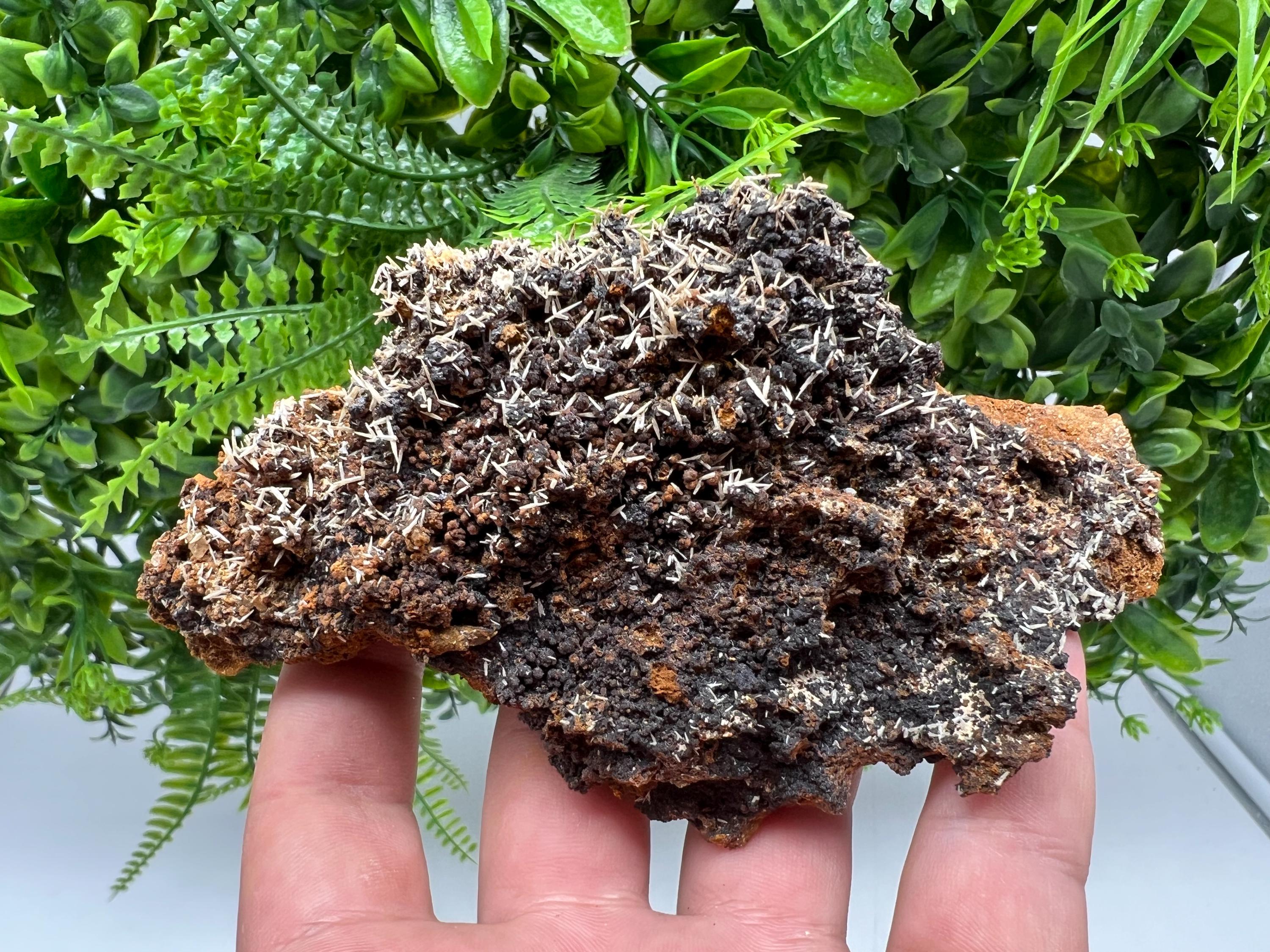 Rare Madjarovo Pyromorphite with Hematite on Quartz, Bulgaria