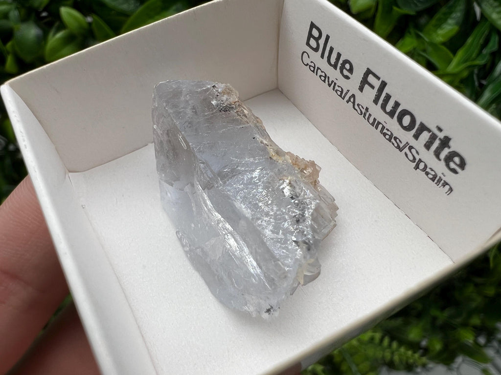 Blue Fluorite Mineral Specimen: Spain Collection (3.5/2.5cm)