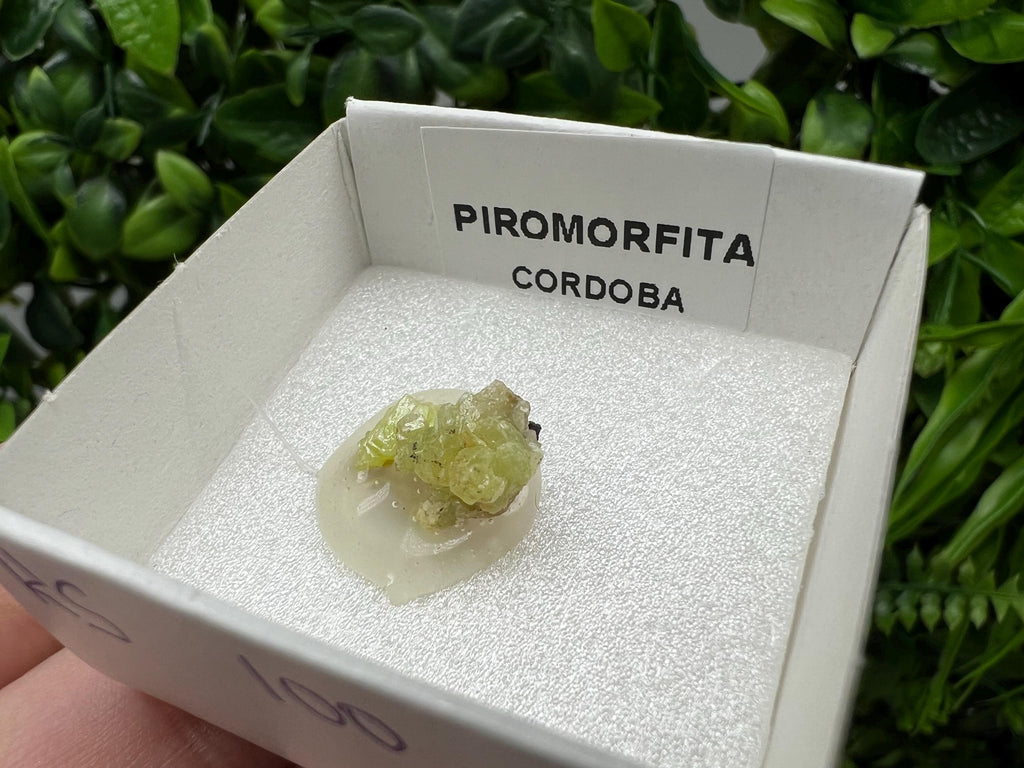 Pyromorphite Stone / Pyromorphite on Matrix / Pyromorphite Crystal / Raw Crystal / Pyromorphite Cluster / Rough Pyromorphite / Pyromorphite