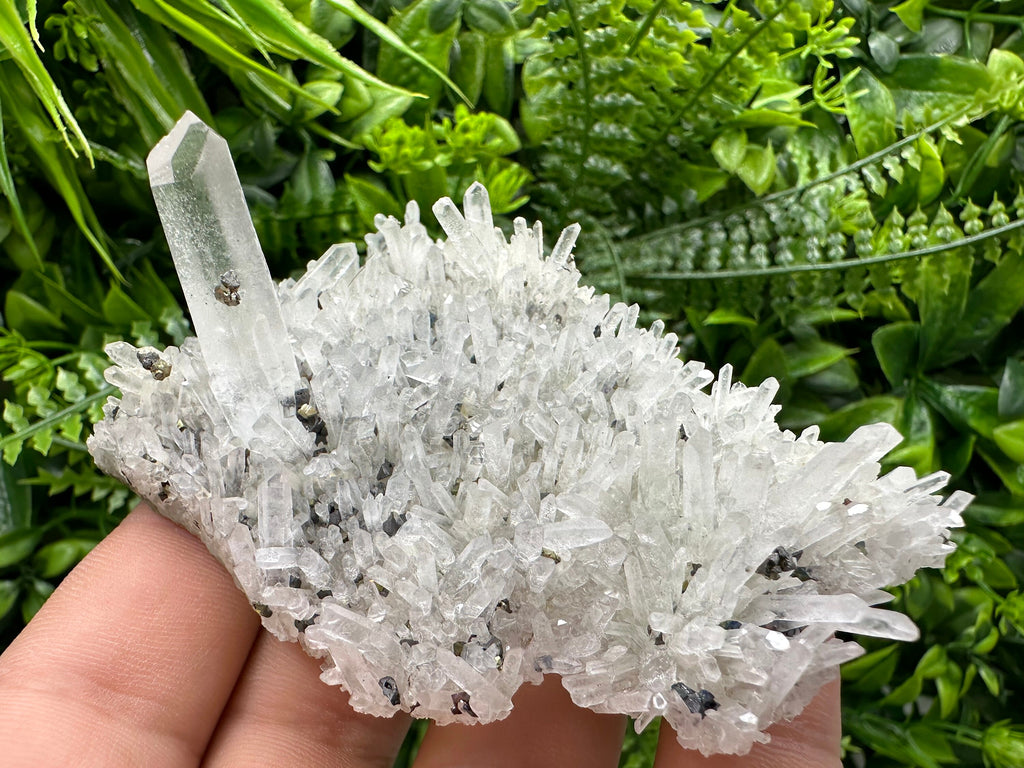 Quartz with Pyrite and Galena, Krushev Dol Mine, Bulgaria