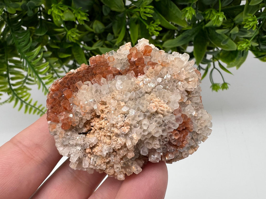 Extra Large Aragonite Sputnik Cluster: Moroccan Raw Crystal Stone