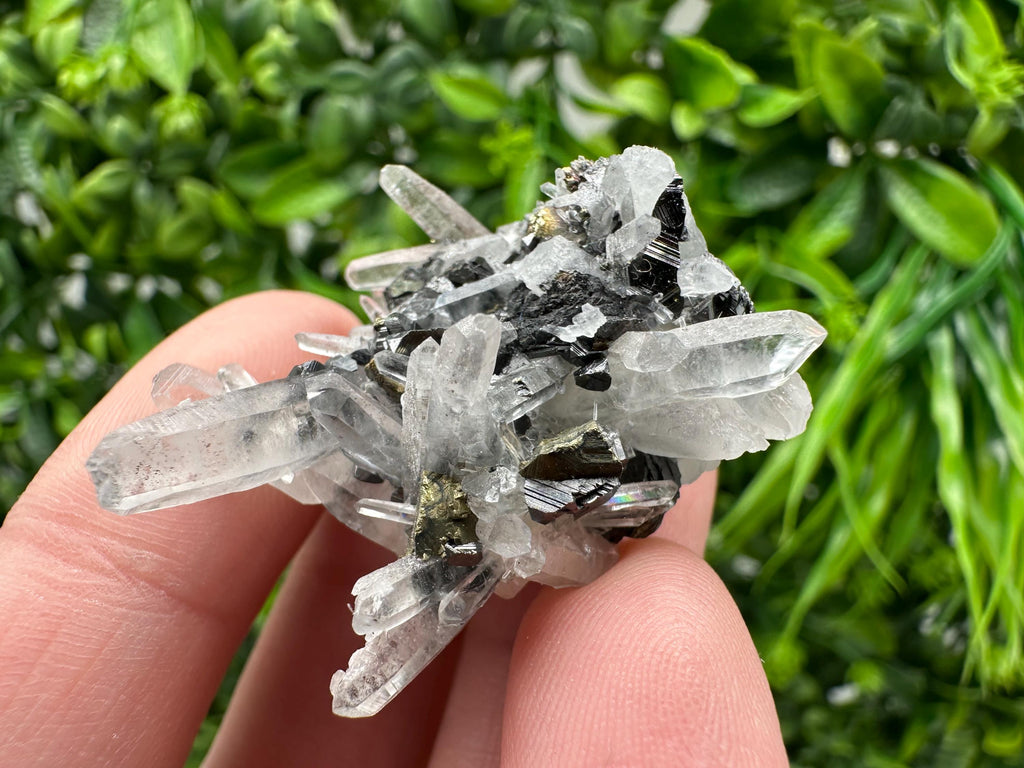 Wonderful Sphalerite Chalcopyrite on  Quartz whit Galena feom 9 th September mine,Bulgaria,natural,collection mineral specimen,gift