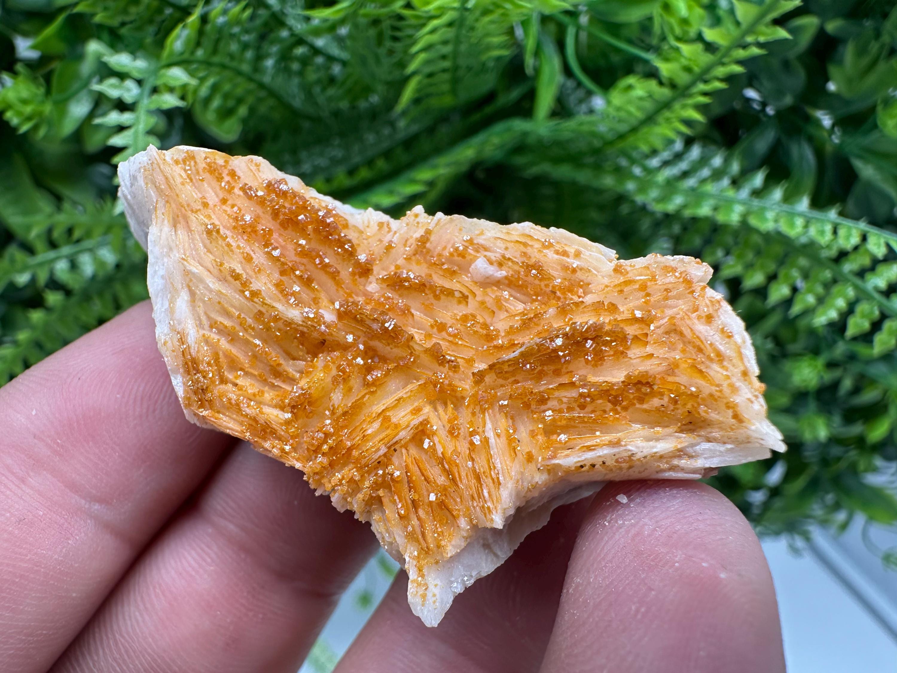 Red Vanadinite on Barite, Morocco Crystal Specimen