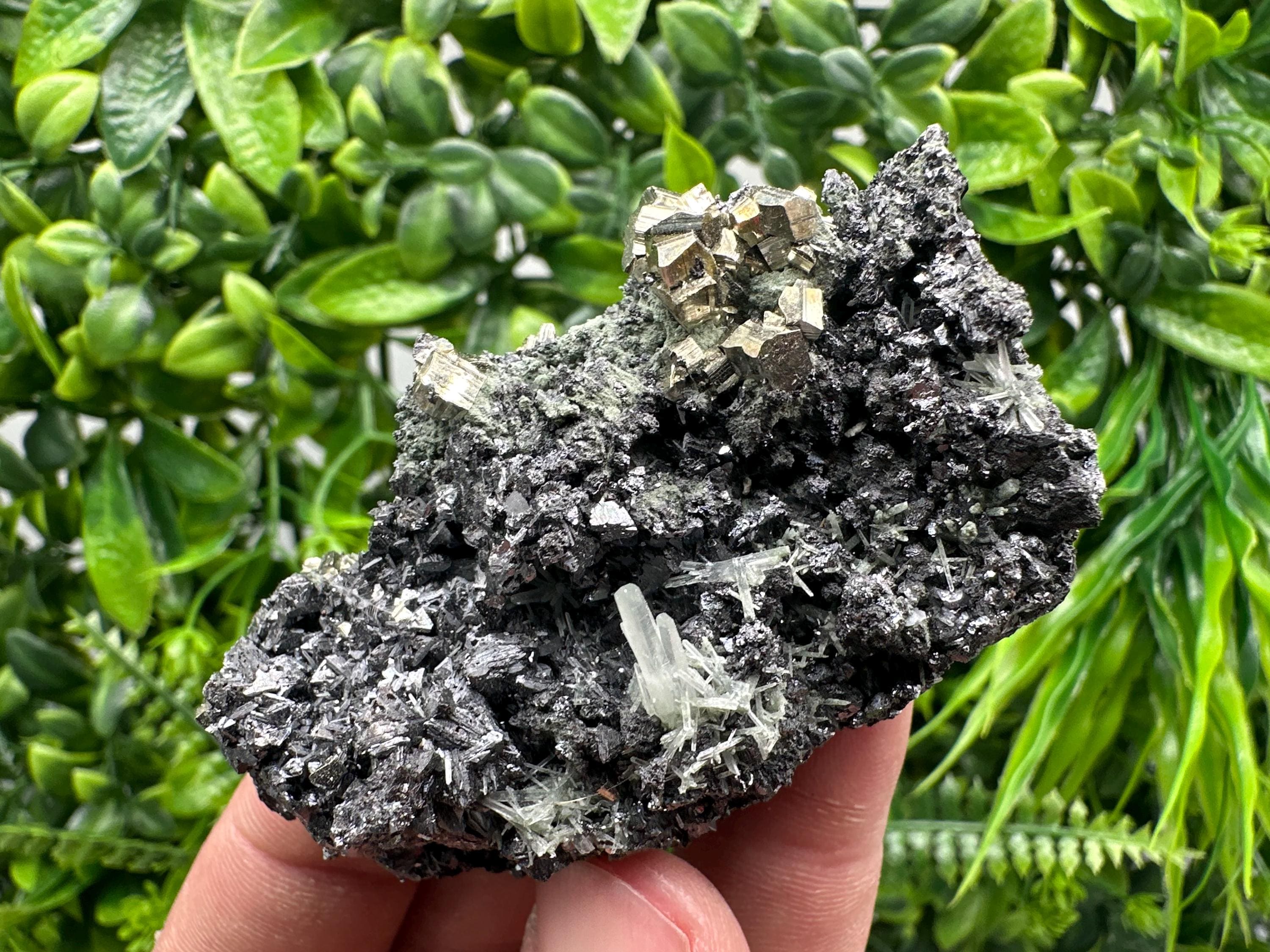 Pyrite on Sphalerite with Quartz, Borieva Mine Mineral Specimen