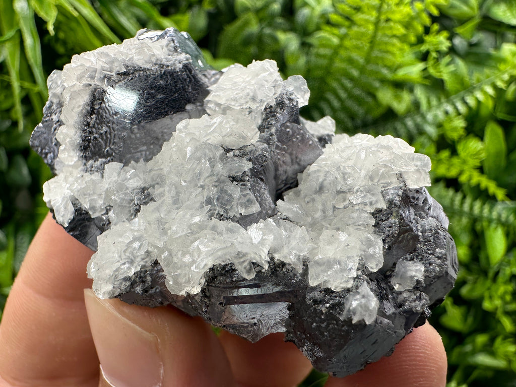 Galena with Calcite Cluster, Batantci Mine Mineral Specimen
