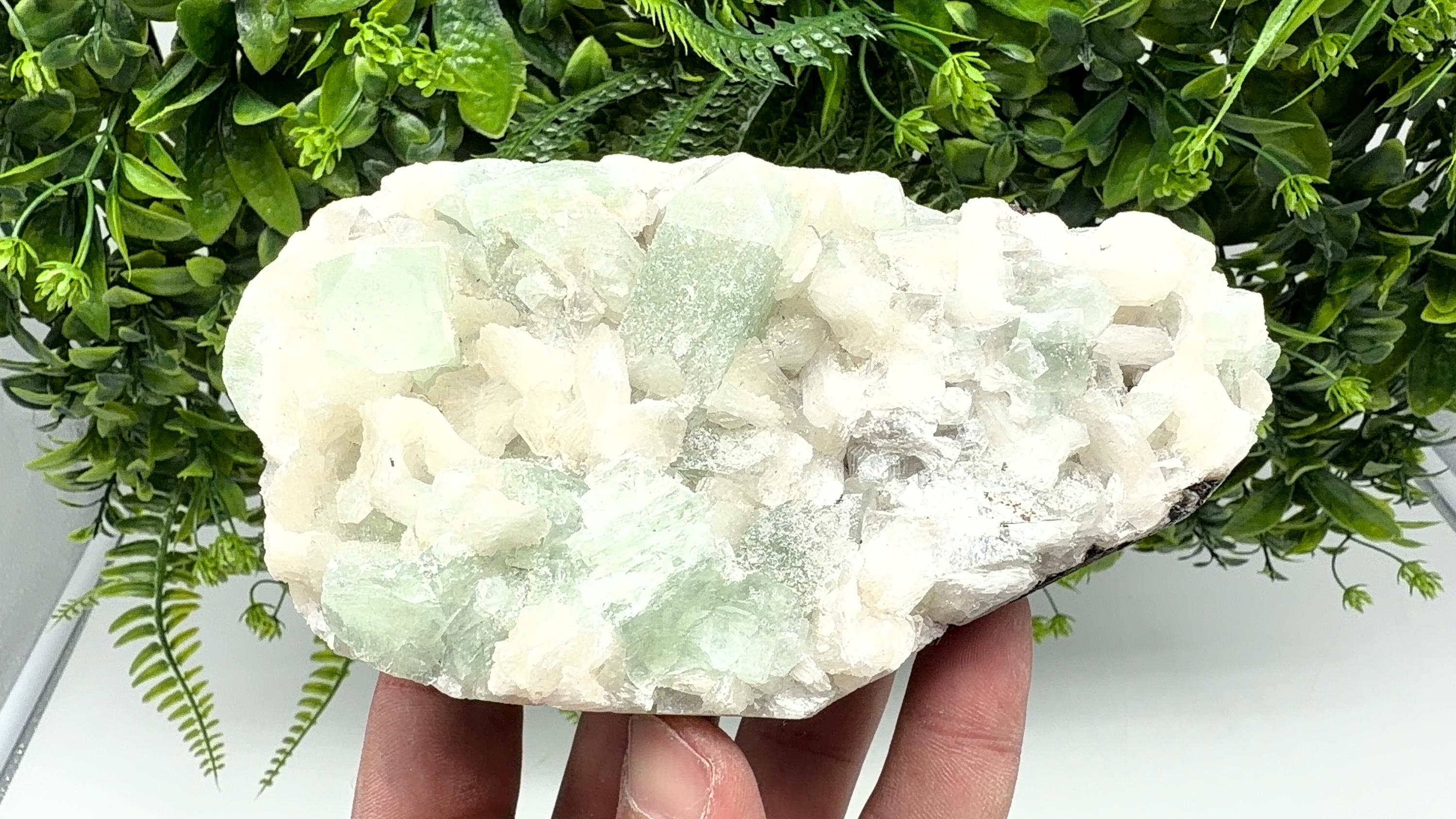 Green Apophyllite with Stilbite, India Crystal Specimen