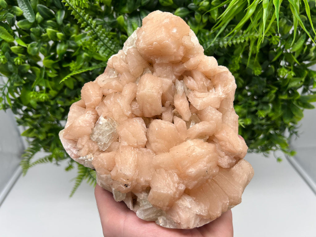 Apophyllite Stilbite on Chalcedony, India Crystal Specimen