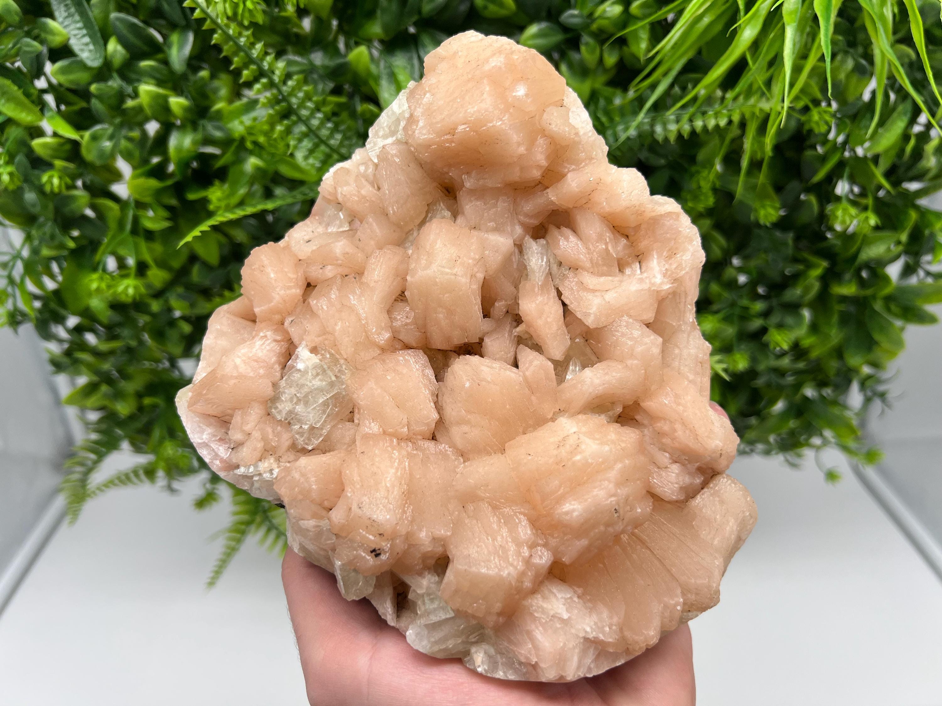 Apophyllite Stilbite on Chalcedony, India Crystal Specimen