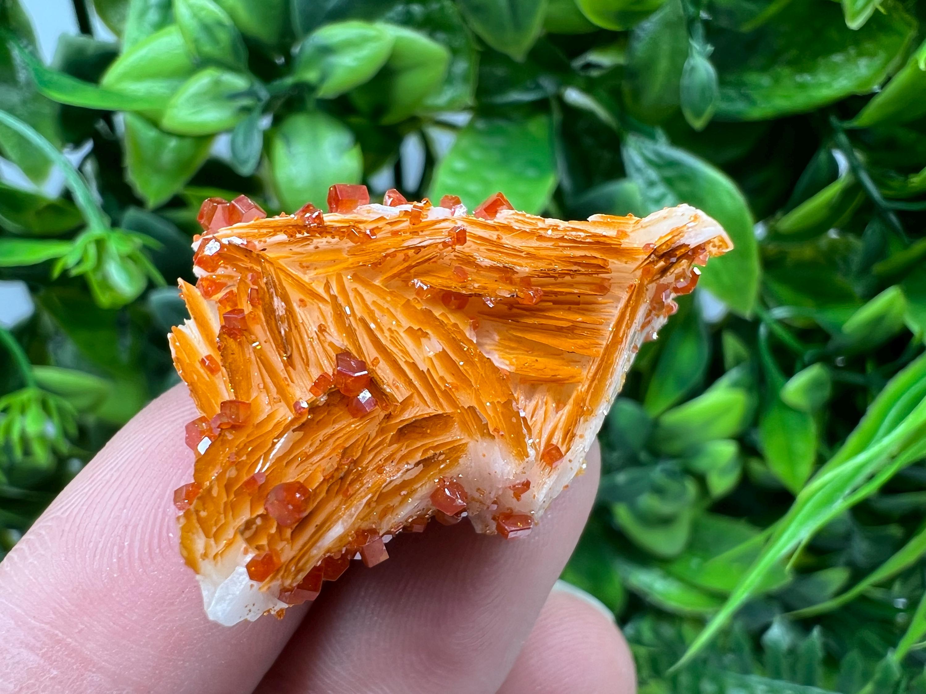 Red Vanadinite on Barite from Marocco,crystal minerals Speciment cluster Vanadinite crystal Vanadinite Geology Vanadinite cluster minerals