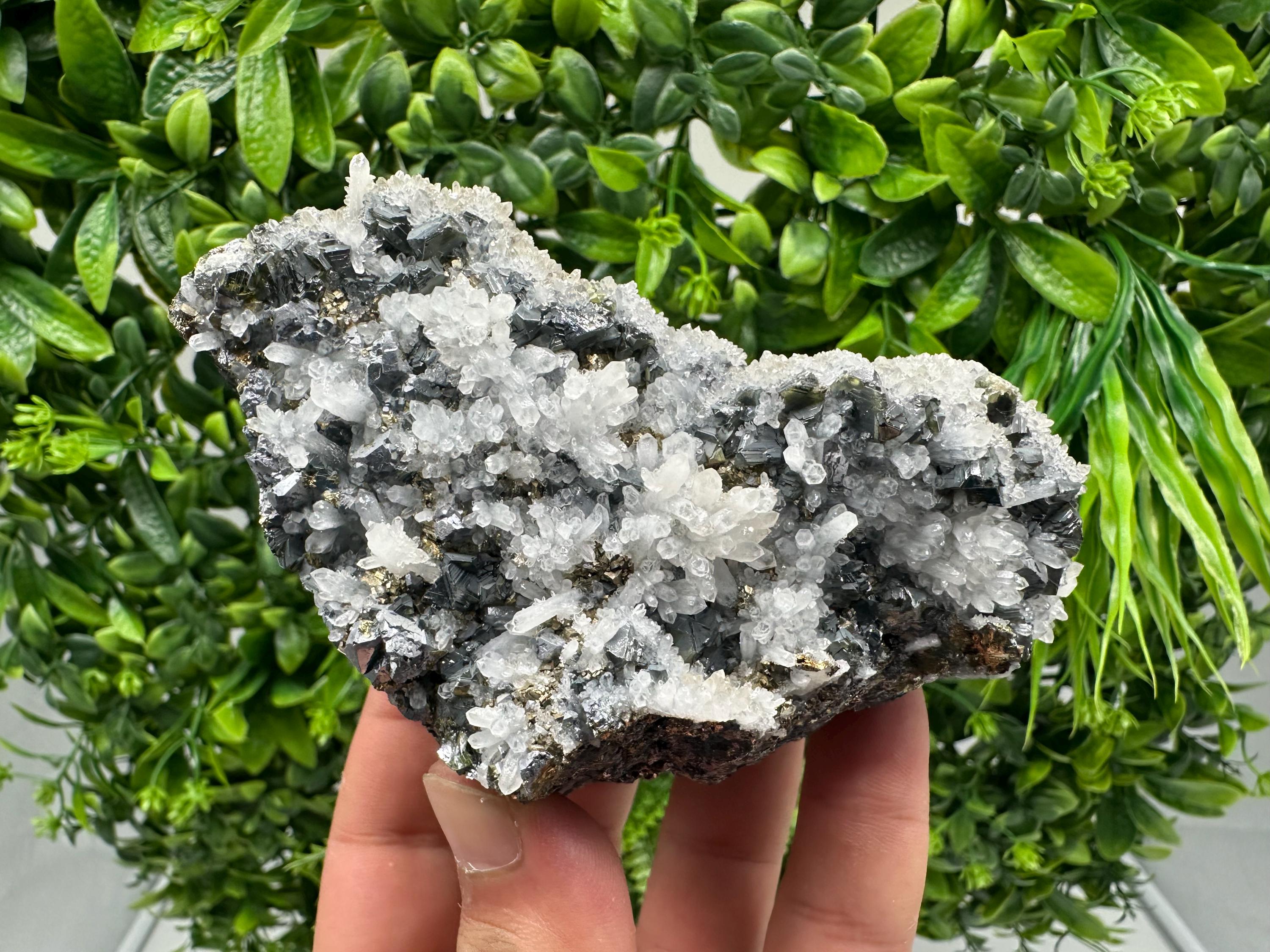 Rare Galena, Sphalerite, Pyrite Mineral Specimen: Krushev Dol Mine, Bulgaria