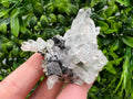 Transparent Quartz,Chlorite,Chalcopyrite Matrix,From Borieva mine,Madan,Bulgaria,Quartz,Quartz crystal,mineral specimen,collection quartz
