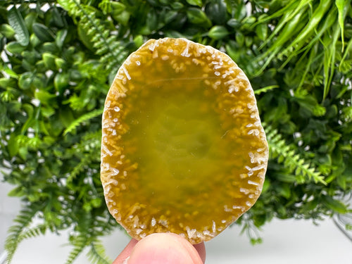 Agate Slice: Spiritual Healing Crystal Coaster Ornament