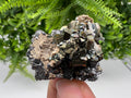 Rainbow Pyrite Siderite Mineral Specimen: Madan Bulgaria Collectible