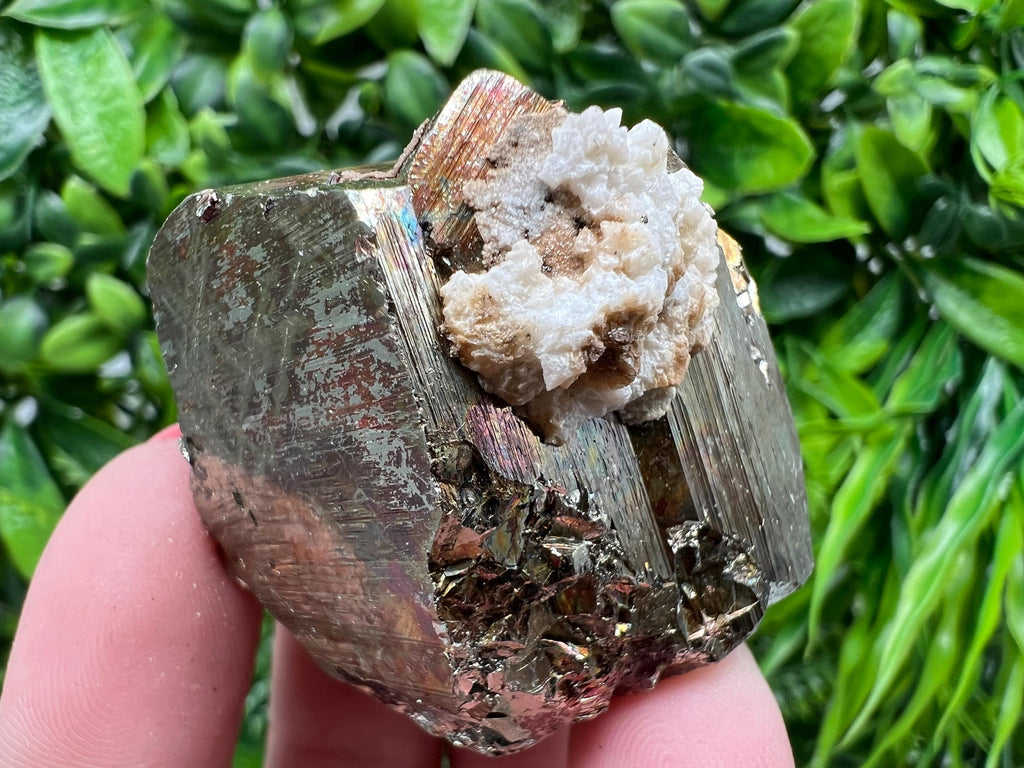 Rainbow Pyrite with Calcite, Natural Mineral Souvenir, Borieva Bulgaria