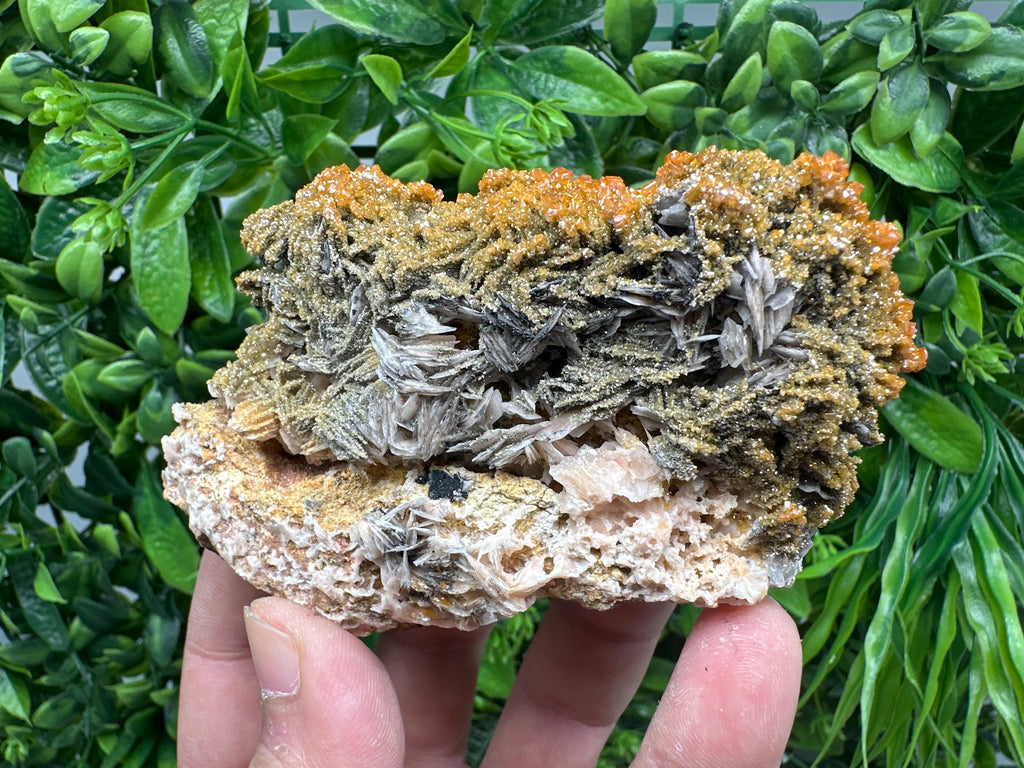 VERY Rare red Vanadinite on Barite whit Goethite from Marocco,crystal minerals Speciment cluster Vanadinite crystal Vanadinite Geology Vanad