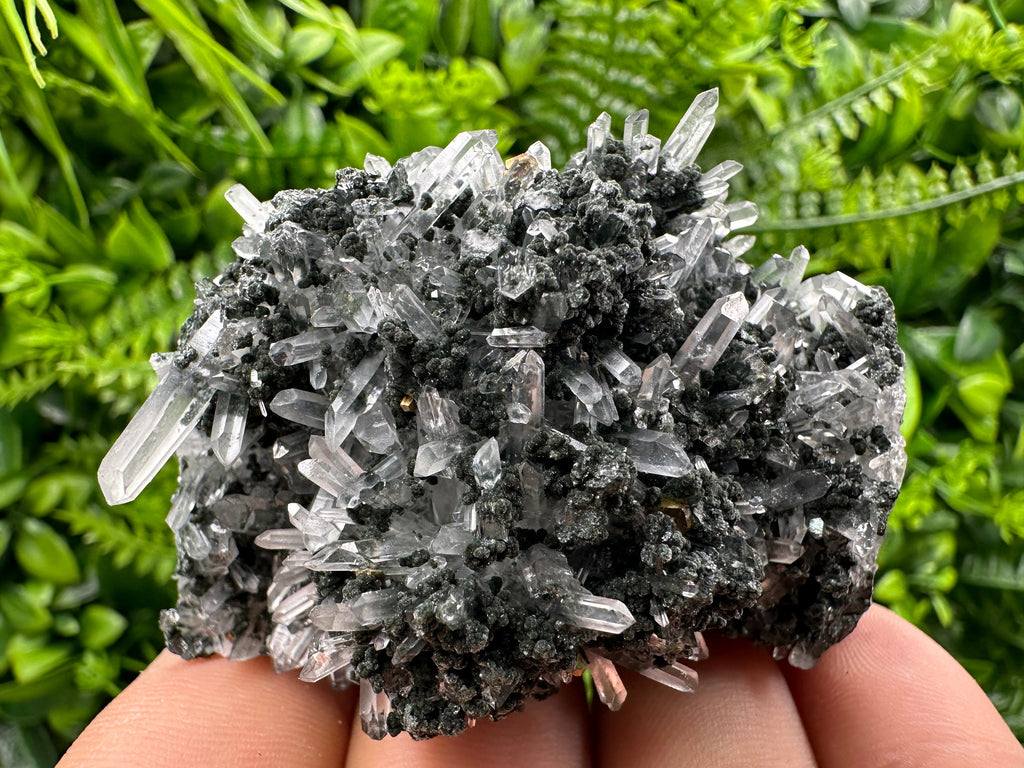 Chlorite Quartz Crystal: Iron Oxide Mineral Specimen, Borieva Bulgaria