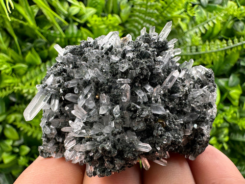 Chlorite Quartz Crystal: Iron Oxide Mineral Specimen, Borieva Bulgaria