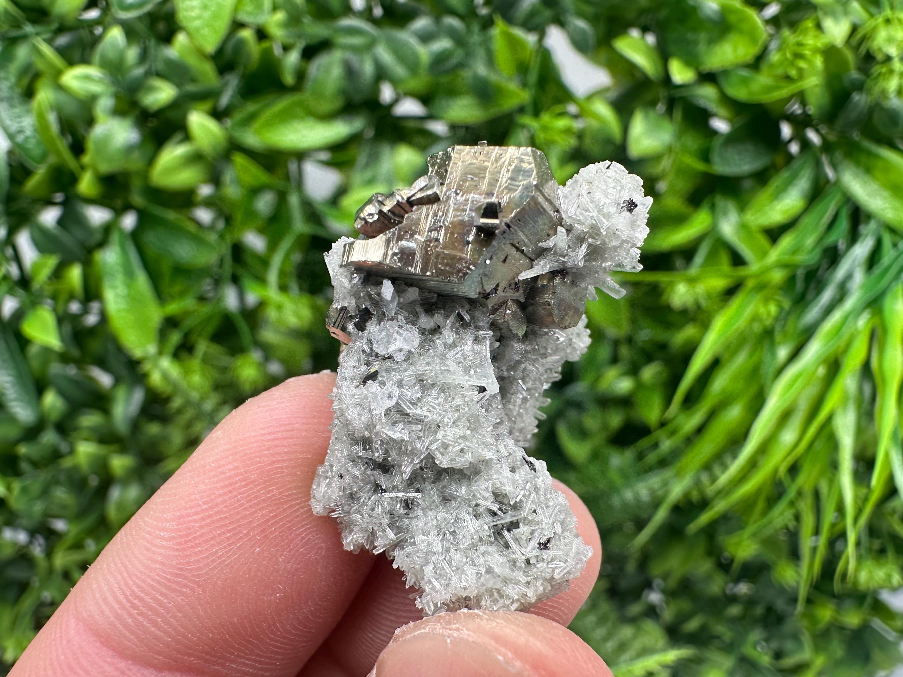 Pyrite on Green Quartz Mineral Specimen from Borieva Mine, Bulgaria