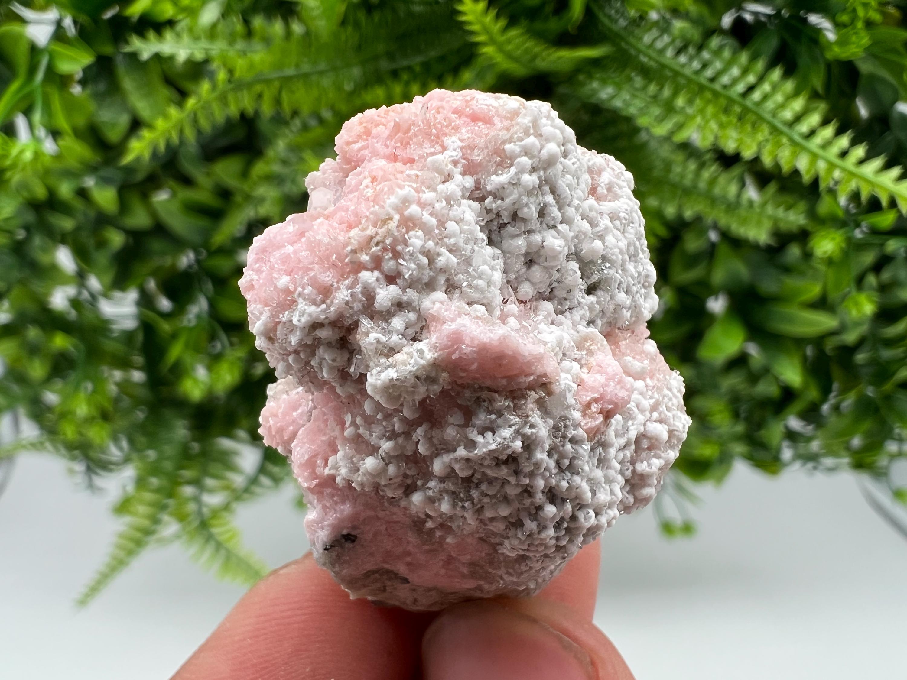Rare Rhodochrosite with Calcite, Starnica Mine, Bulgaria
