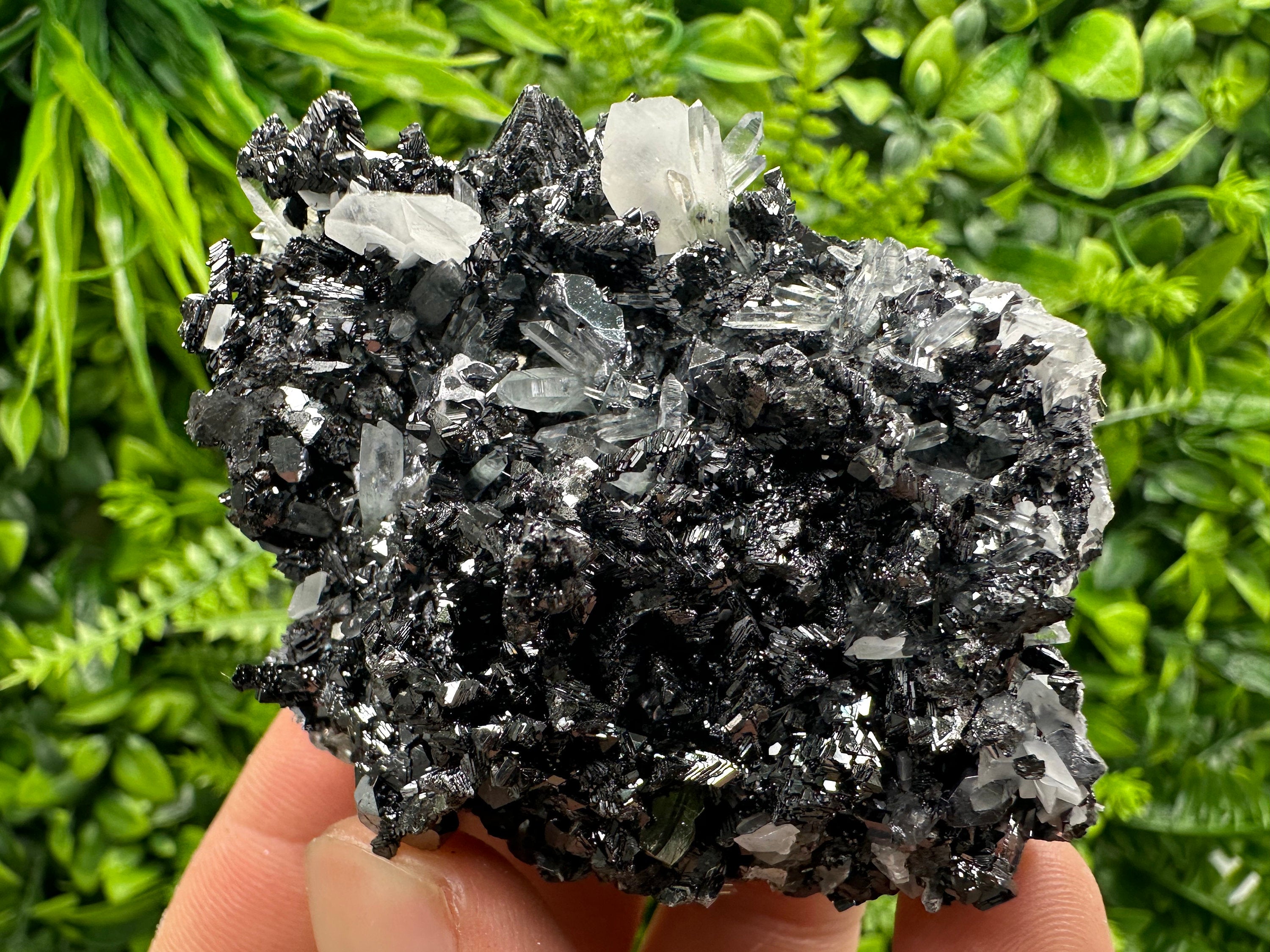 Pyrite Calcite on Sphalerite with Quartz, Bulgaria Mineral Specimen