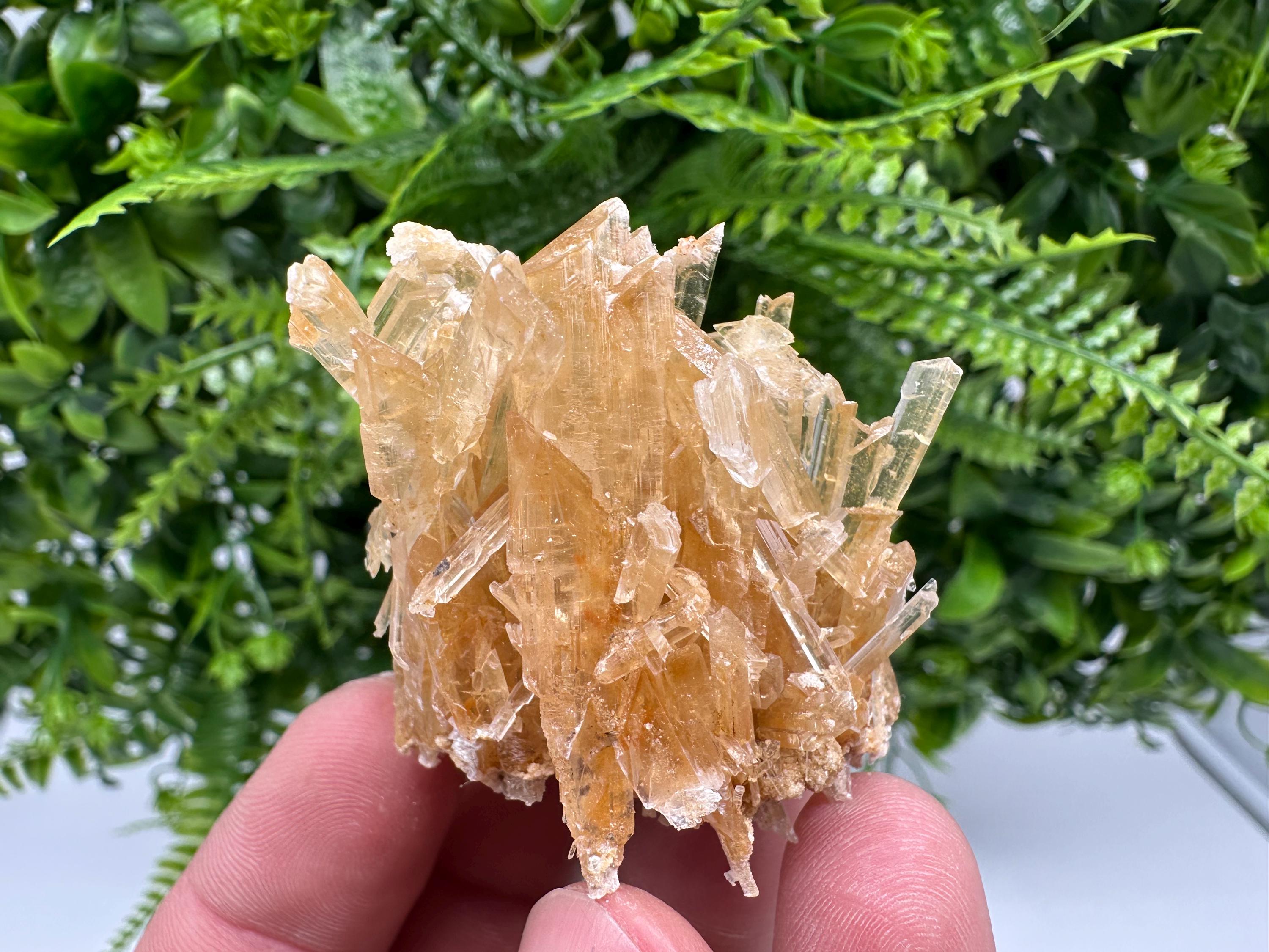 Brown Gypsum Selenite Crystal, Rudna Mine Poland, Mineral Specimen