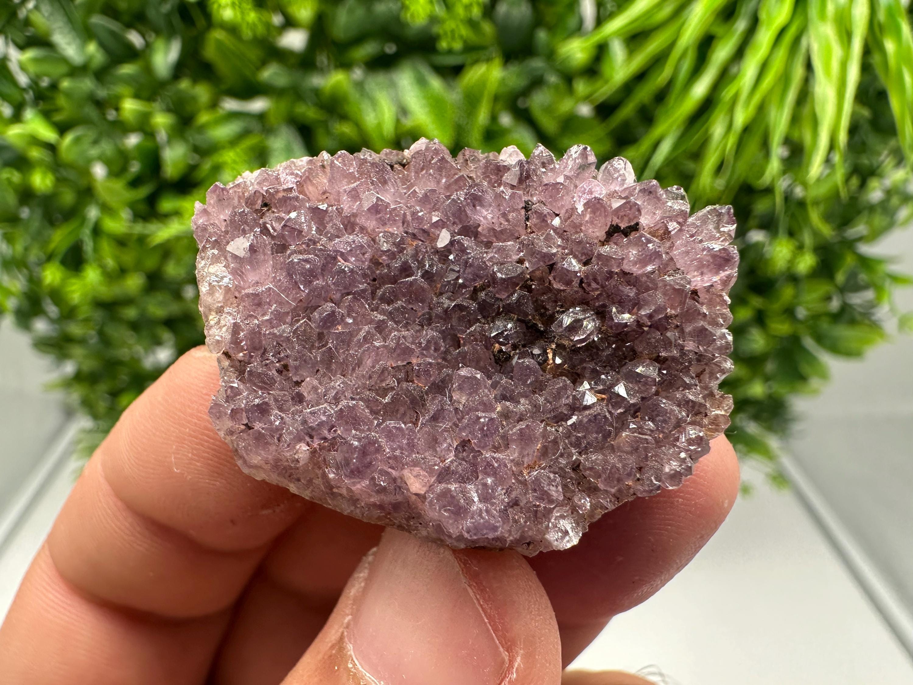 Alacam Amethyst Specimen: Natural Quartz Cluster, Turkish Mineral Decor