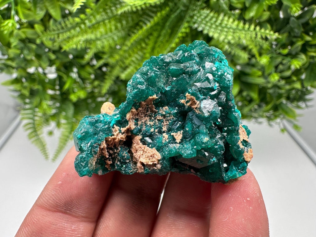 Stunning Green Dioptase from Sanda Hills,Mindouli,Pool Department,Mindouli District,Congo,green Dioptase,Dioptas Crystal,Dioptase collecting