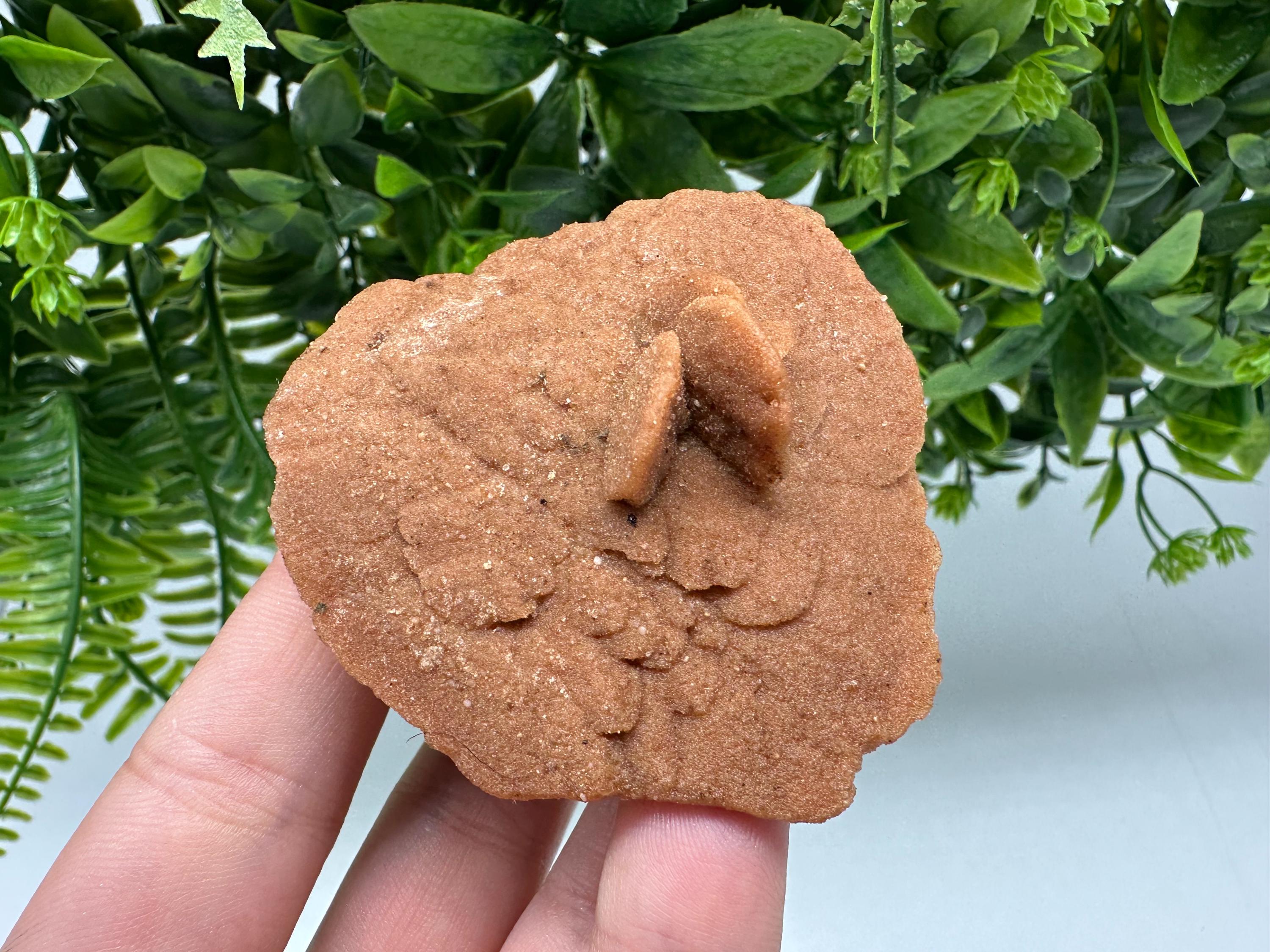 Natural Desert Rose Crystal – Root Chakra Healing Selenite Stone